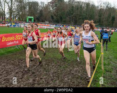 Lisa Rooms aus Belgien trat am 10. Platz beim Seniorenrennen der Frauen bei der SPAR-Cross-Country-Europameisterschaft im Laeken Park in Brüssel an Stockfoto