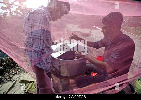 Dhaka, Wari, Bangladesch. Dezember 2023. Imker beim Sammeln von Waben aus einer speziellen Kiste, um den von Bienen erzeugten Honig auf einem Feld in Munshigonj zu gewinnen. Nach Angaben des Bangladesch Institute of Imiculture (BIA) produzieren rund 25.000 Anbauer im ganzen Land jährlich mindestens 1500 Tonnen Honig. Munshigonj, Bangladesch, 29. Dezember 2023. (Kreditbild: © Habibur Rahman/ZUMA Press Wire) NUR REDAKTIONELLE VERWENDUNG! Nicht für kommerzielle ZWECKE! Stockfoto