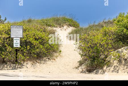 Sandiger Pfad über die Dünen, der zu einem Meeresstrand führt Stockfoto