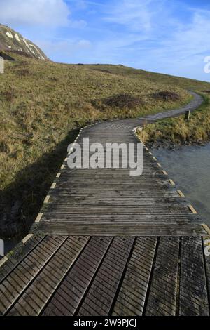 Samphire Hoe, Dover Stockfoto