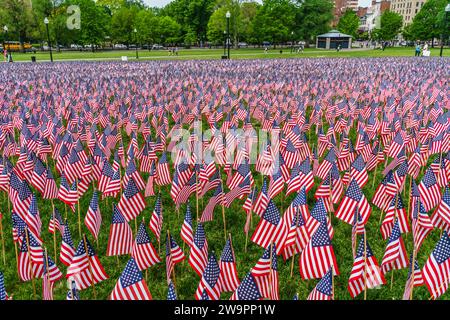 Feld der US-Flags Stockfoto