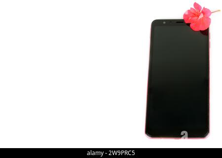 Smartphone in rosafarbenem Gehäuse isoliert auf weißem Hintergrund. Freier Platz für Text. Stockfoto