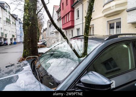 NRW, Deutschland, Sturmschaden, ein 4 Meter langer Ast wurde durch den Sturm Zoltan abgebrochen und durch die Windschutzscheibe eines geparkten Vehiks zertrümmert Stockfoto