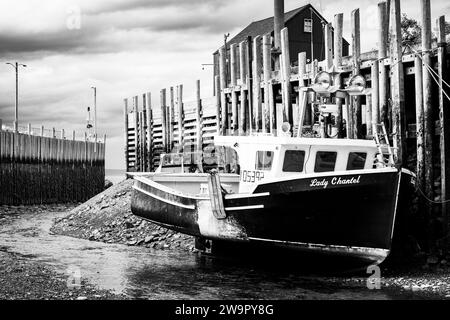 Gezeiten sind draußen in Hall's Harbour an der Bay of Fundy in Nova Scotia, Kanada. Stockfoto