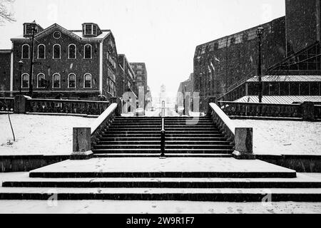 Eine Treppe führt zur Grand Parade in Halifax, Nova Scotia, Kanada, während eines Schneesturms. Stockfoto