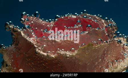 Rosa Rose unter Wasser mit Bläschen auf der Oberfläche Stockfoto