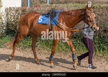 Forget You Not, Sieger im Wincanton unter James Best für Jackie du Plessis, 21. März 2022 Stockfoto