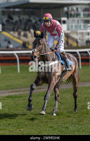 Ambion Hill, Vizemeister in Wincanton am 21. März 2022 Stockfoto