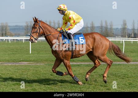 Forget You Not, Sieger im Wincanton unter James Best für Jackie du Plessis, 21. März 2022 Stockfoto