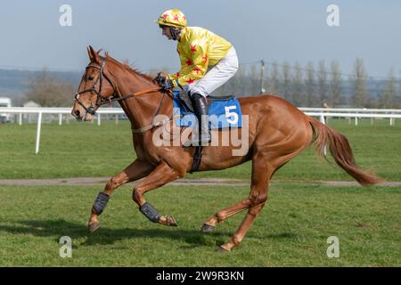 Forget You Not, Sieger im Wincanton unter James Best für Jackie du Plessis, 21. März 2022 Stockfoto