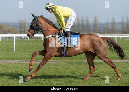 Doyannie, geritten von Lorcan Williams für Jack Barber, am 21. März 2022 in Wincanton Stockfoto