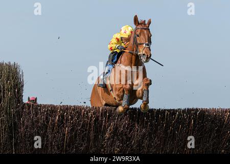 Forget You Not, Sieger im Wincanton unter James Best für Jackie du Plessis, 21. März 2022 Stockfoto