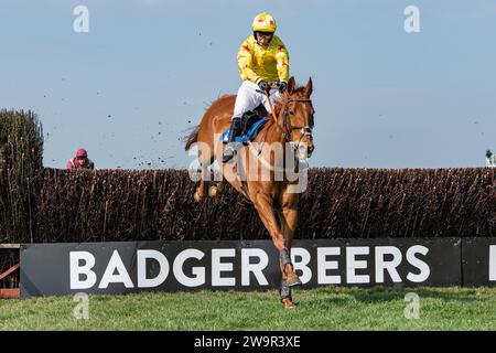 Forget You Not, Sieger im Wincanton unter James Best für Jackie du Plessis, 21. März 2022 Stockfoto