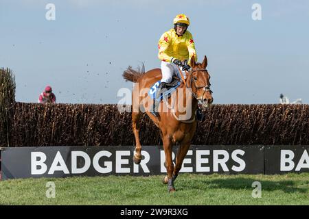 Forget You Not, Sieger im Wincanton unter James Best für Jackie du Plessis, 21. März 2022 Stockfoto