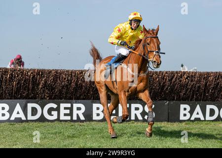 Forget You Not, Sieger im Wincanton unter James Best für Jackie du Plessis, 21. März 2022 Stockfoto