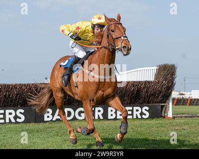 Forget You Not, Sieger im Wincanton unter James Best für Jackie du Plessis, 21. März 2022 Stockfoto