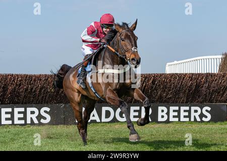 Ambion Hill, Vizemeister in Wincanton am 21. März 2022 Stockfoto