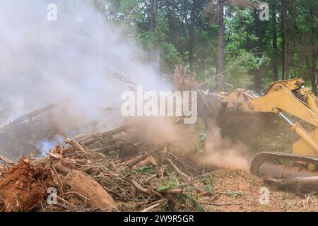 Brand durch entwurzelte Bäume, die während der Vorbereitung des Bauens gefällt wurden Stockfoto