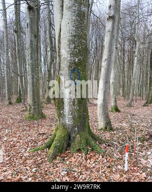 Actuell Klimaveränderung in Europa Stockfoto