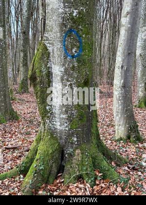 Actuell Klimaveränderung in Europa Stockfoto