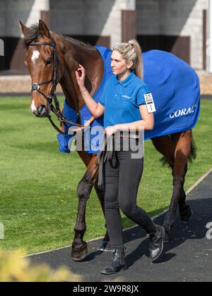 Reserve Tank Reiten von Brendan Powell für Joe Tizzard in Wincanton am 21. März 2022 Stockfoto