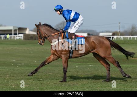 Reserve Tank Reiten von Brendan Powell für Joe Tizzard in Wincanton am 21. März 2022 Stockfoto