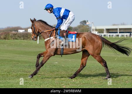 Reserve Tank Reiten von Brendan Powell für Joe Tizzard in Wincanton am 21. März 2022 Stockfoto