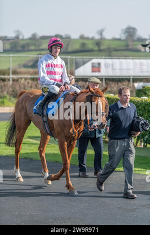 River Bray, Sieger des 2. Rennens in Wincanton, geritten von Alan Johns und trainiert von Victor Dartnall Stockfoto