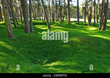 Die Wälder des kanadischen National Vimy Memorial, Schauplatz der Schlacht am Vimy Ridge im Ersten Weltkrieg in Frankreich, tragen noch immer Krater, die von Explosionen hinterlassen wurden. Stockfoto