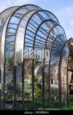 Nahaufnahme der ikonischen mediterranen Gewächshäuser, die von den Heatherwick Studios in Laverstoke Mill - Bombay Sapphire Destillery, Großbritannien, entworfen wurden Stockfoto