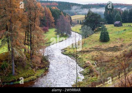 Der Fluss Don durch die schottische Landschaft im November. Strathdon, Aberdeenshire, Schottland Stockfoto