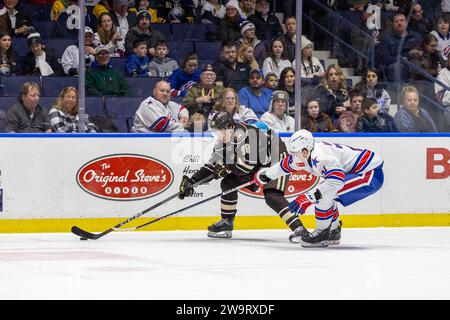 Rochester, New York, USA. Dezember 2023. Hershey spielt Henrik Rybinski (38) in der ersten Periode gegen die Rochester-Amerikaner. Die Rochester Americans veranstalteten die Hershey Bears in einem Spiel der American Hockey League in der Blue Cross Arena in Rochester, New York. (Jonathan Tenca/CSM). Quelle: csm/Alamy Live News Stockfoto