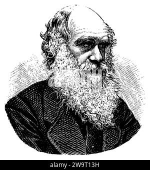 Charles Darwin (1809–1882), englischer Naturforscher und Biologe, (Bilderbuch, 1881), Charles Darwin (1809–1882), britischer Naturforscher, Begründer der modernen Evolutionstheorie (1809–1882), Charles Darwin (1809–1882), naturaliste anglais, Pionnier de la théorie moderne de l’évolution Stockfoto