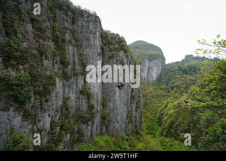 Ein Berg von riesigen Säulen, gebildet aus triassischem Kalkstein. Enshi Grand Canyon Qixingzhai Scenic Area, Enshi City, Hubei, China. Stockfoto