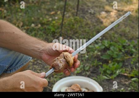 Fleisch und Pilze werden auf einen Spieß zum Kochen von Shish Kebab gelegt. Stockfoto