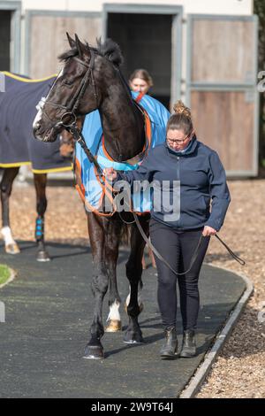 Glajou, trainiert von Paul Nicholls und geritten von Harry Cobden, belegt am 21. März 2022 den dritten Platz in der Handicap-Jagd der Klasse 3 in Wincanton Stockfoto