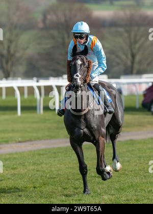 Glajou, trainiert von Paul Nicholls und geritten von Harry Cobden, belegt am 21. März 2022 den dritten Platz in der Handicap-Jagd der Klasse 3 in Wincanton Stockfoto