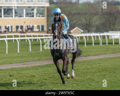 Glajou, trainiert von Paul Nicholls und geritten von Harry Cobden, belegt am 21. März 2022 den dritten Platz in der Handicap-Jagd der Klasse 3 in Wincanton Stockfoto