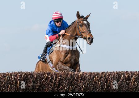 Der Russe Doyen, geritten von Nick Scholfield und trainiert von Jeremy Scott, ist Zweiter in der Klasse 3 Handicap Turmjagd in Wincanton am 21. März Stockfoto