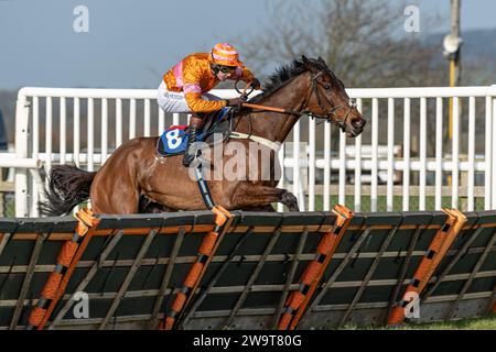 Name in Lights unter Jockey Brendan Powell schafft die Hürde, um das 4. Rennen in Wincanton am 21. März 2022 zu gewinnen. Trainiert von Colin Tizzard. Stockfoto