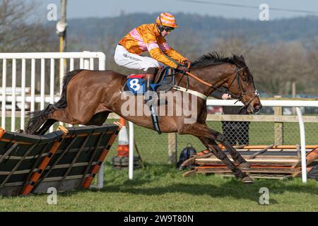 Name in Lights unter Jockey Brendan Powell schafft die Hürde, um das 4. Rennen in Wincanton am 21. März 2022 zu gewinnen. Trainiert von Colin Tizzard. Stockfoto