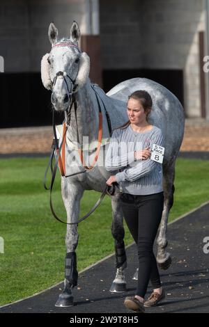 Tikk Tock Boom, geritten von Tom Scudamore und trainiert von Ian Williams, lief am 21. März 2022 in der Veterans' Handicap Chase in Wincanton Stockfoto