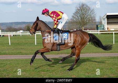 Broken Quest, geritten von Jack Andrews und trainiert von David Dennis, 4. Platz in Wincanton, 21. März 2022 Stockfoto