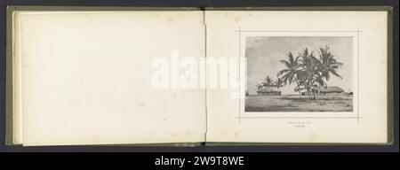 Palmen und Häuser (vermutlich) auf der Ilha de Luanda, José Augusto da Cunha Moraes, um 1876 - in oder vor 1886 photomechanischen Druck Luanda Island Papier Kollotypgehäuse. Bäume: Palme Luanda Island Stockfoto