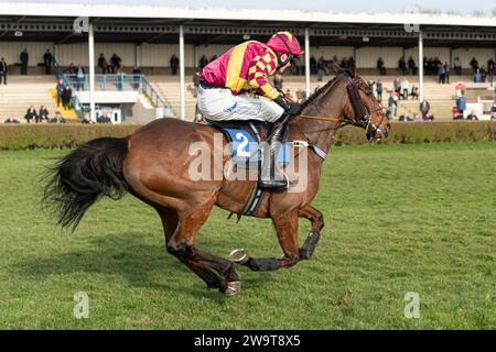 Broken Quest, geritten von Jack Andrews und trainiert von David Dennis, 4. Platz in Wincanton, 21. März 2022 Stockfoto