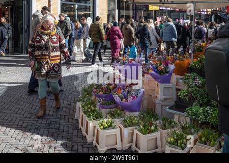 Blumenstand mit Tulpen und anderen Frühlingsblumen auf dem Markt im Zentrum der niederländischen Stadt Utrecht. Stockfoto
