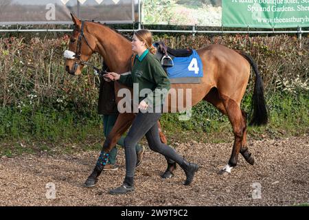 Smith’s Bay, geritten von Nick Scholfield trainiert von Polly Gundry, lief in der Klasse 4 Handicap Hürde in Wincanton, 21. März 2022 Stockfoto