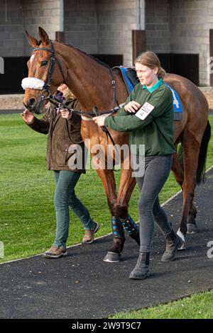 Smith’s Bay, geritten von Nick Scholfield trainiert von Polly Gundry, lief in der Klasse 4 Handicap Hürde in Wincanton, 21. März 2022 Stockfoto