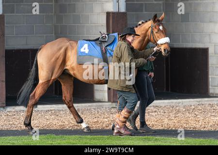 Smith’s Bay, geritten von Nick Scholfield trainiert von Polly Gundry, lief in der Klasse 4 Handicap Hürde in Wincanton, 21. März 2022 Stockfoto