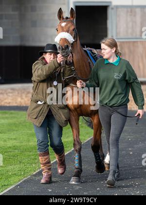 Smith’s Bay, geritten von Nick Scholfield trainiert von Polly Gundry, lief in der Klasse 4 Handicap Hürde in Wincanton, 21. März 2022 Stockfoto